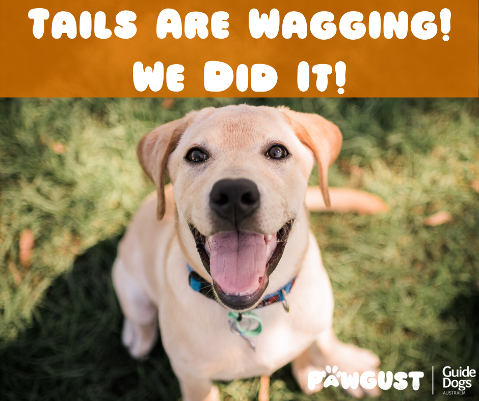 We did it!