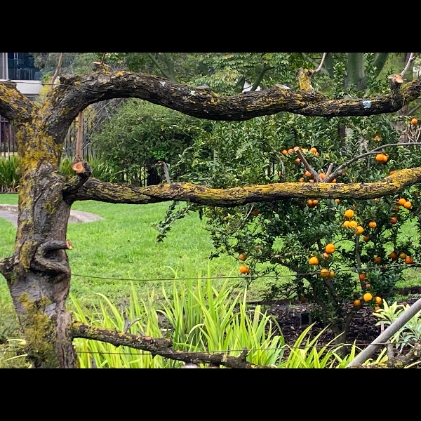 Botanical Gardens