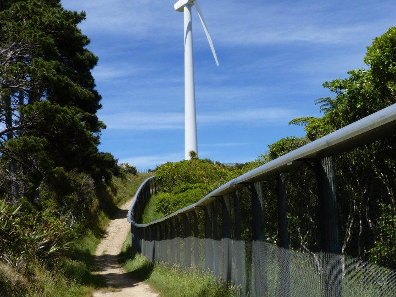 An image of a path leading up to a wind turbine on a sunny day