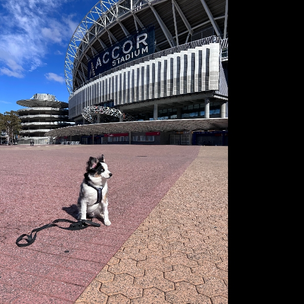 Day 10 @ Sydney Olympic Park being blown away on a windy walk
