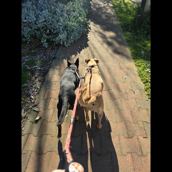 First walk!