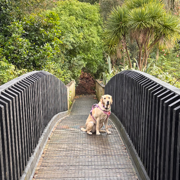 Day 1 Hobson Bay Loop
