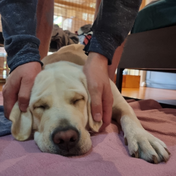 20220619 Exhausted Fifi