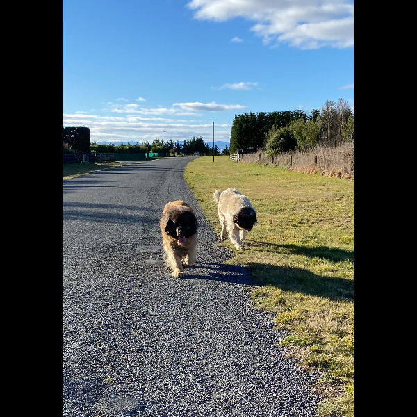 Walk number one!