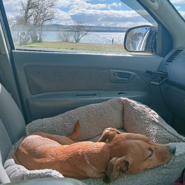 Pooped after our 10kms 🫠😴