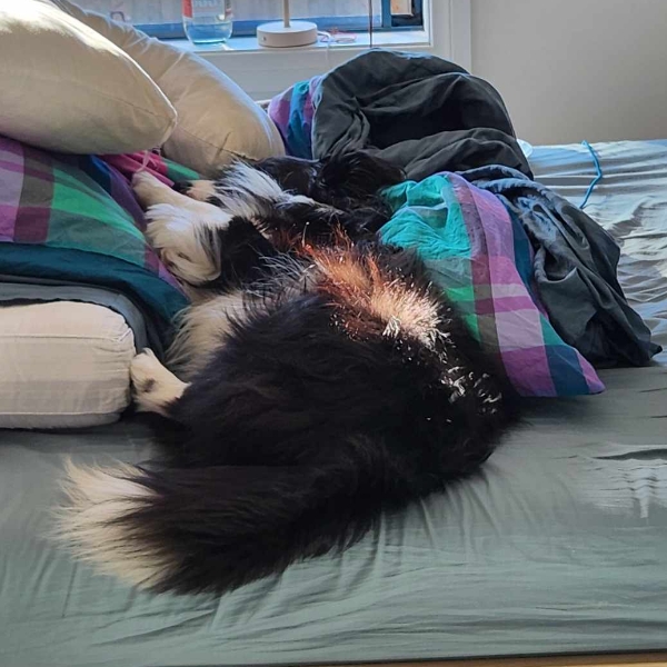 Day 1 is always the hardest!