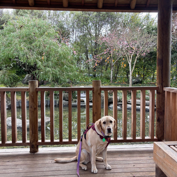 Day 13 Western Springs Lakeside Park