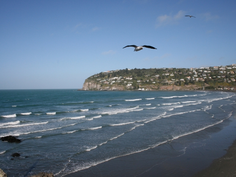 An image of Sumner Beach in Christchurch