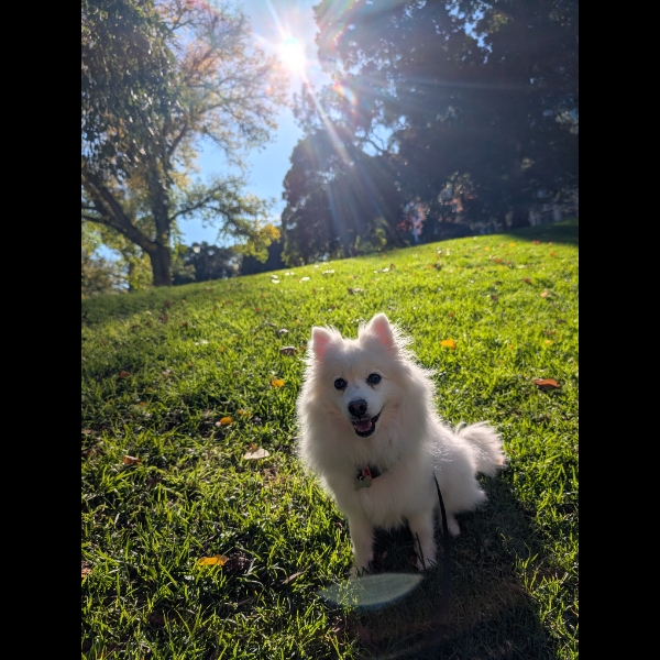 Sunny Yumi