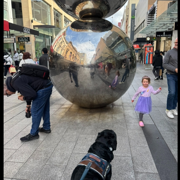 Walk 8 - Cheeky pup cup lucky duck!!