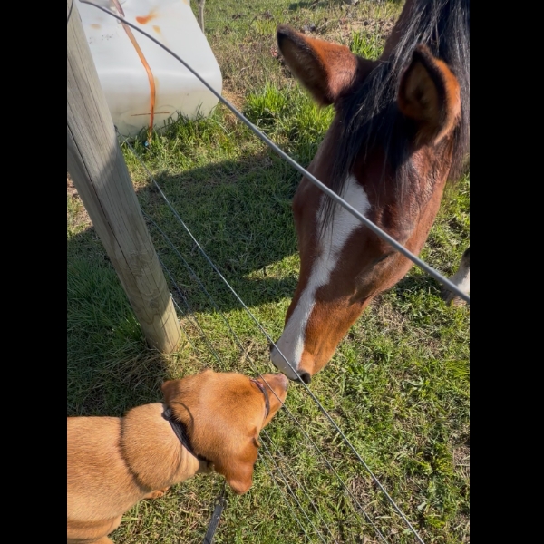 10km sealed with a kiss!