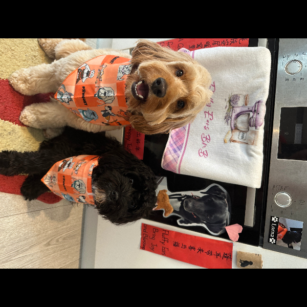 Chiku and Ivy