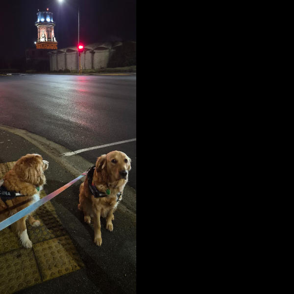 We love a wee watertower shot