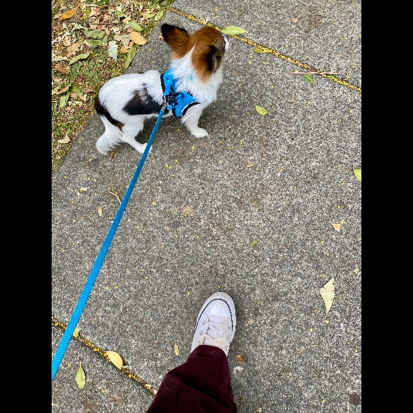 1st day of PAWGUST!