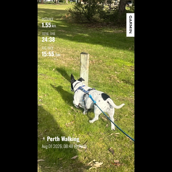 Walk 1