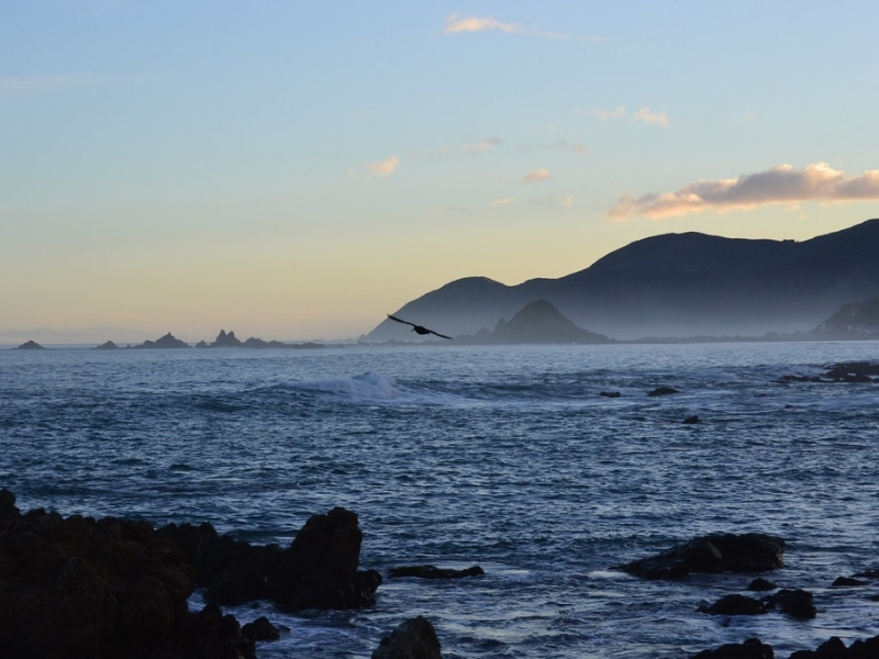 An image of Lyall Bay in Wellington at sunset