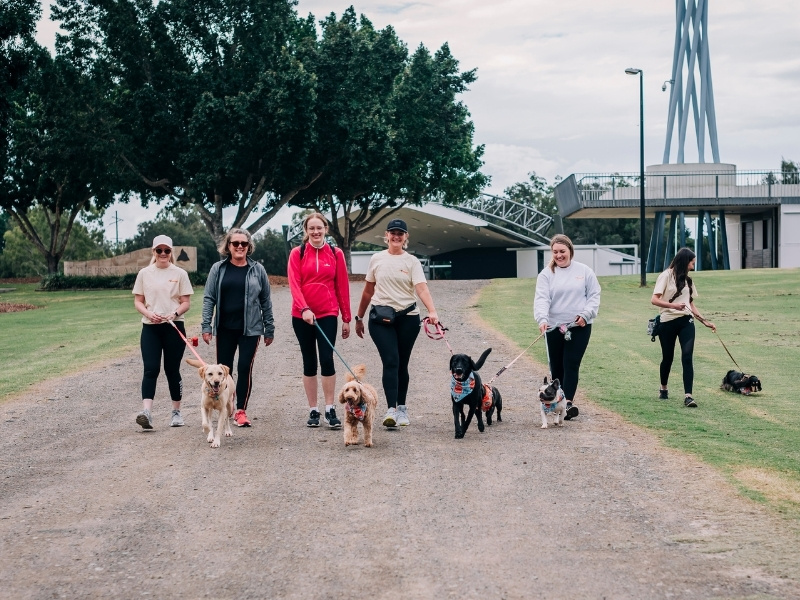 Six women walk with their dogs throughout a park, all wearing PAWGUST merch.
