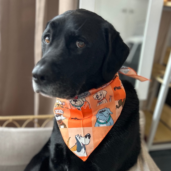 I love my new bandana