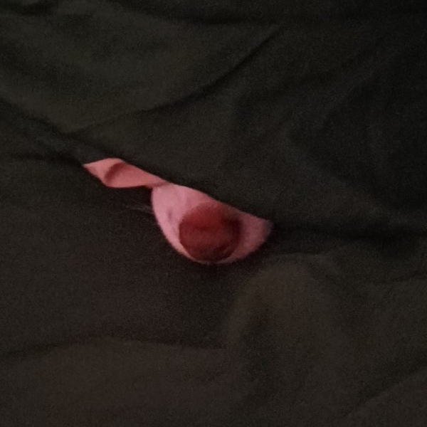 Sleepy Snoot