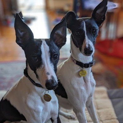 Andrea and Olive