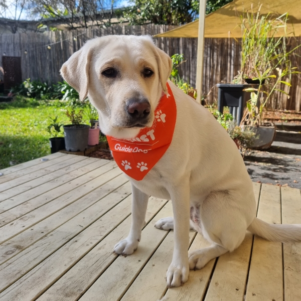20220711 Thank you to supporters I get to strut this scarf today!