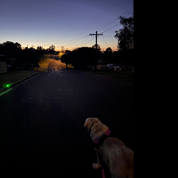 We went from the moon still out to the sun coming up this morning.