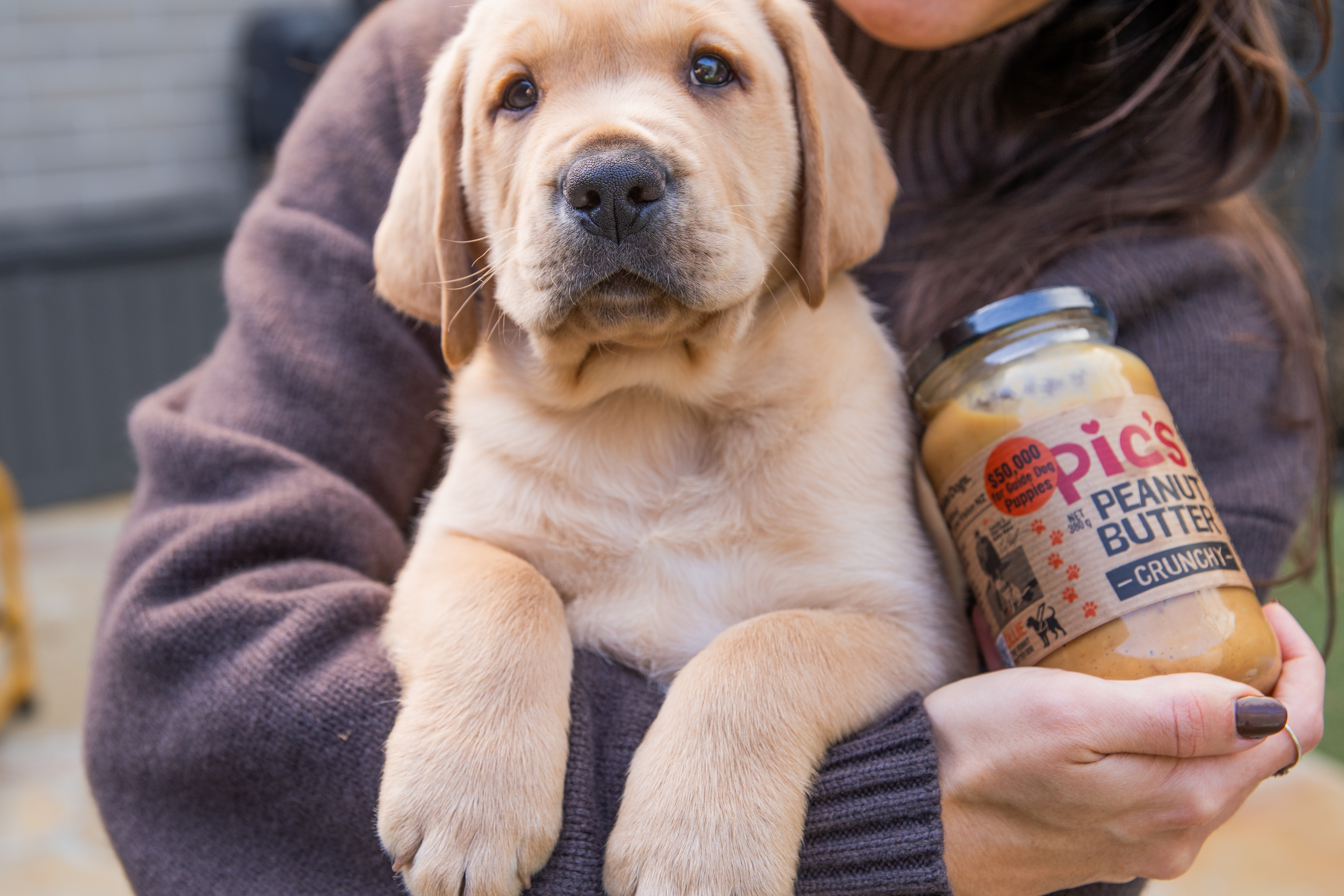Person holding a yellow Guide Dog pup and jar of Pics Peanut Butter