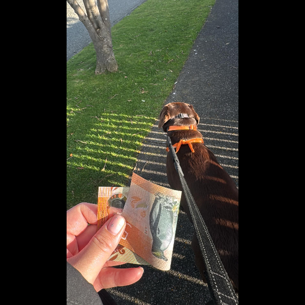 Found $5 on a walk