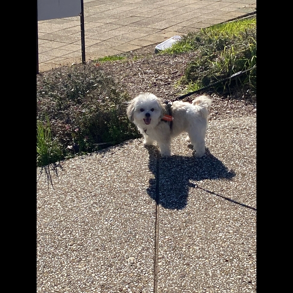 First walk on 1/8/26