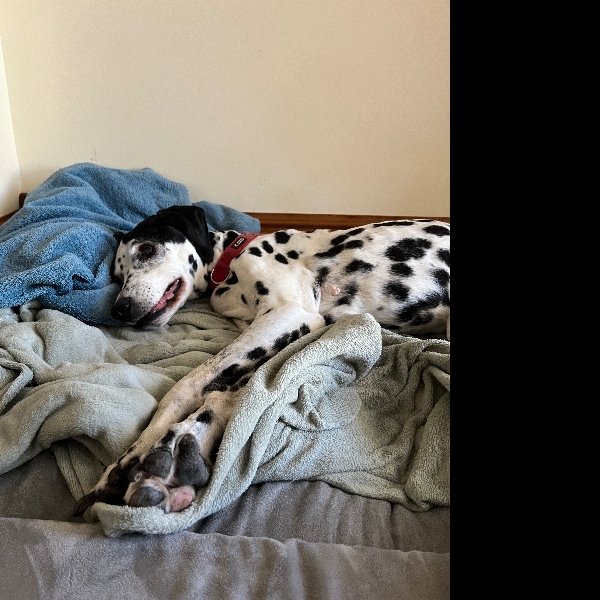 She’s tired now