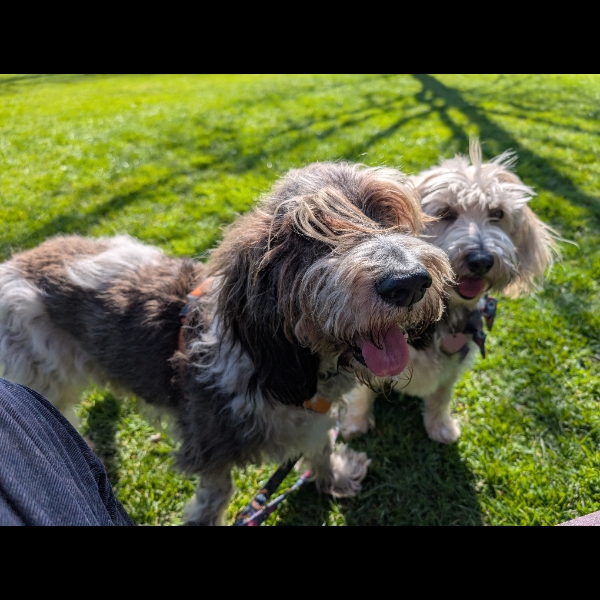 at the royal botanic gardens