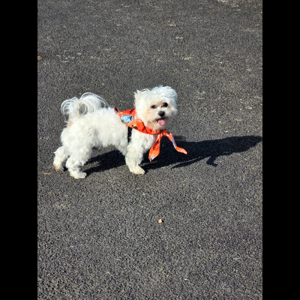 1st August 1st walk