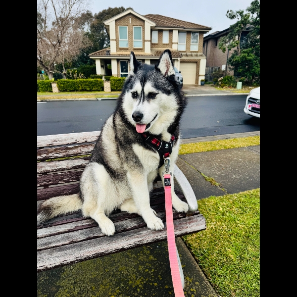 Taking a breather during the walk
