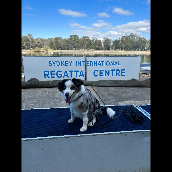 Day 2 @ Penrith Regatta Centre