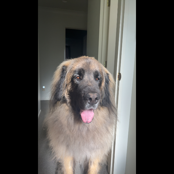 Seriously the most handsome!