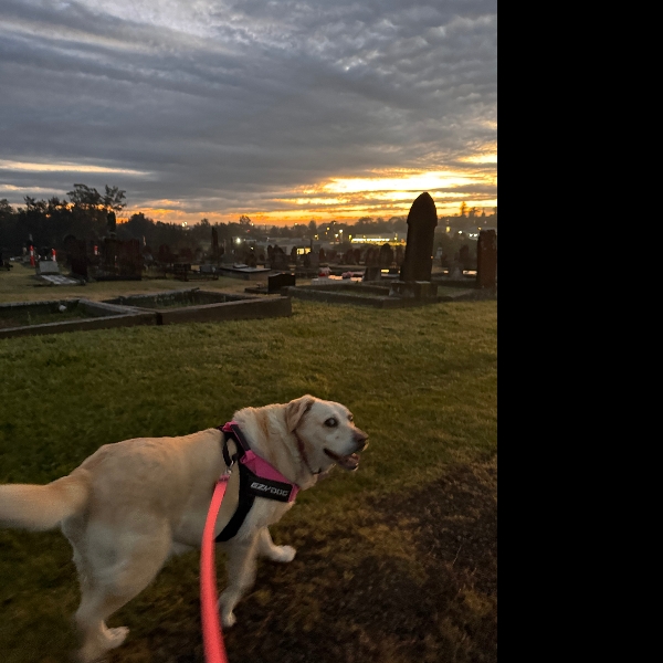 Rosie says good morning!
