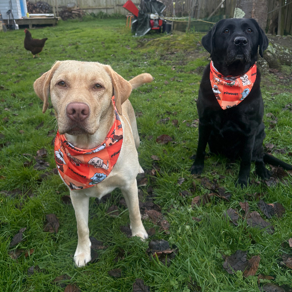 Bandanas received and ready for Pawgust!