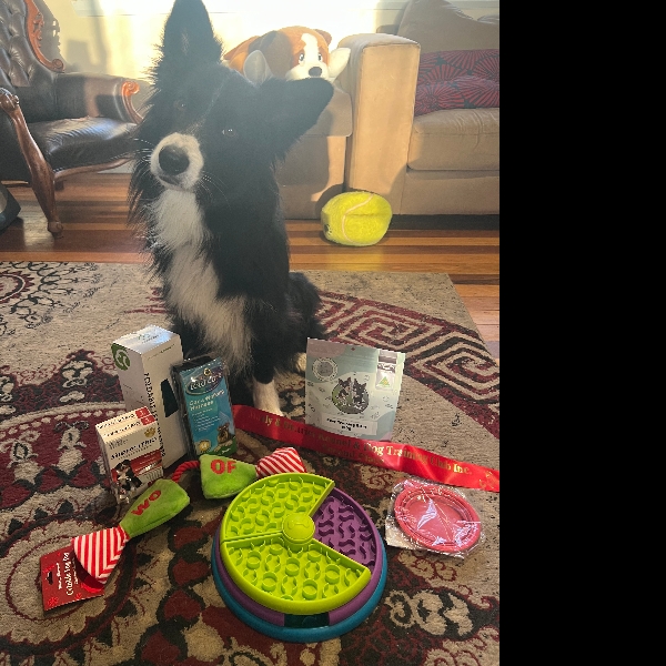 Agility trial 1/8/26