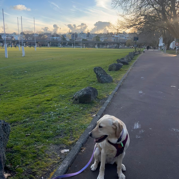 Day 10 Victoria Park