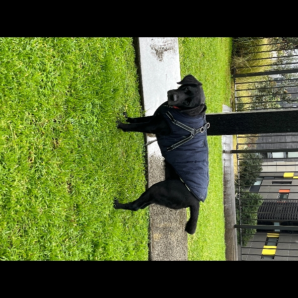 Rainy start to the month