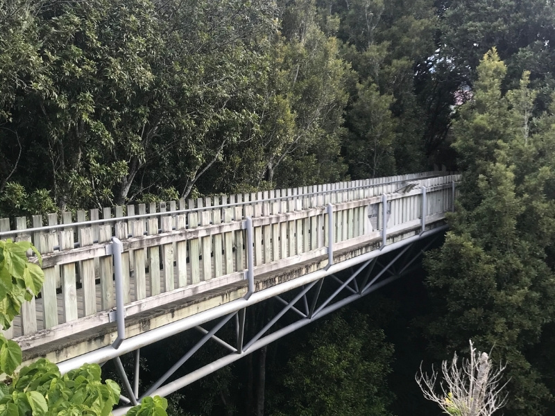 A wooden bridge in the middle of the forest