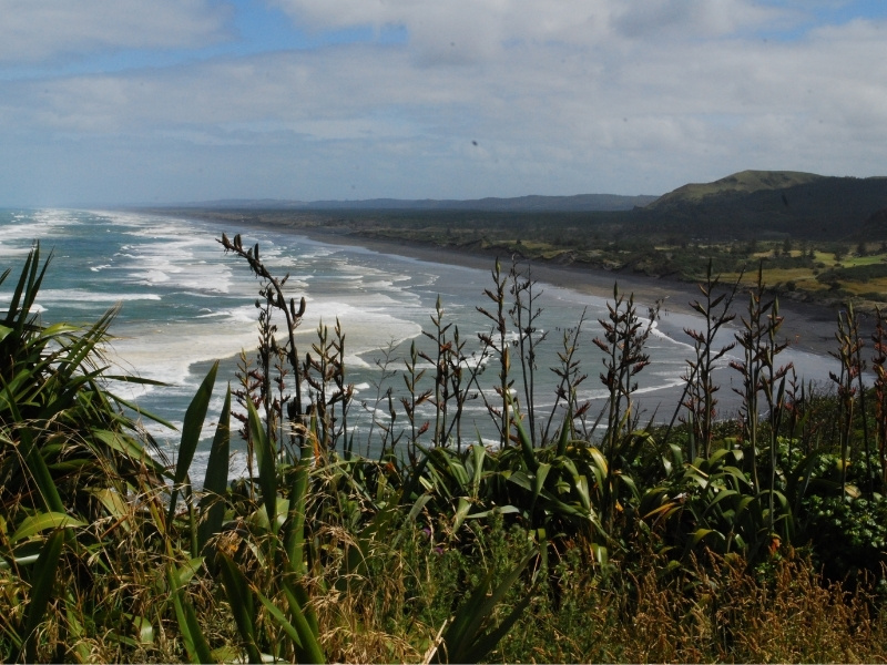 An image of Muriwai Beach on a cloudy day.
