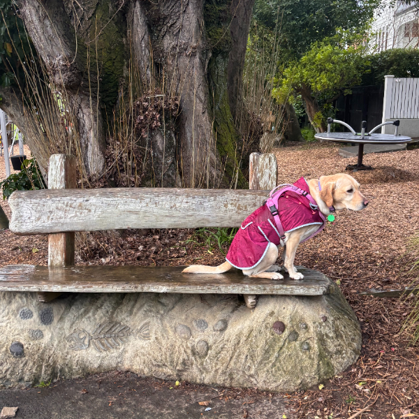 Day 4 - Herne Bay Loop