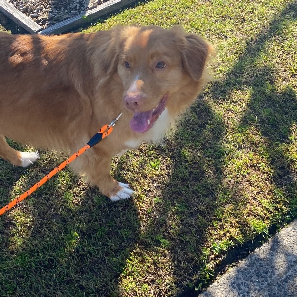 First Fundraiser Walk!