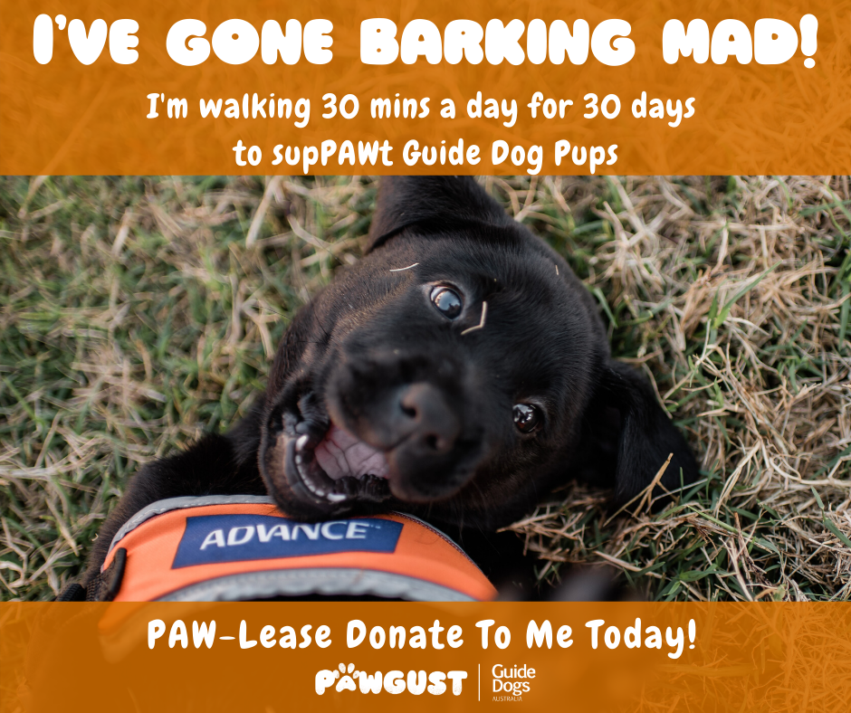 I've gone barking mad!