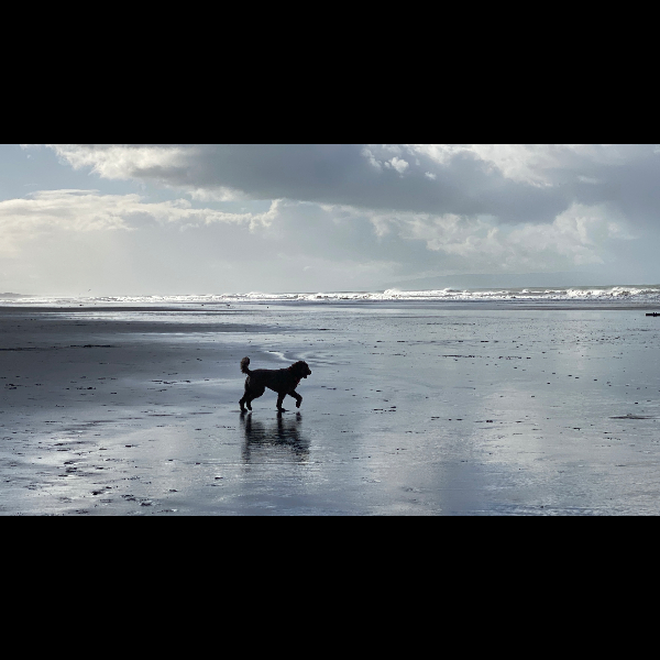 Brighton Beach in a Southerly.