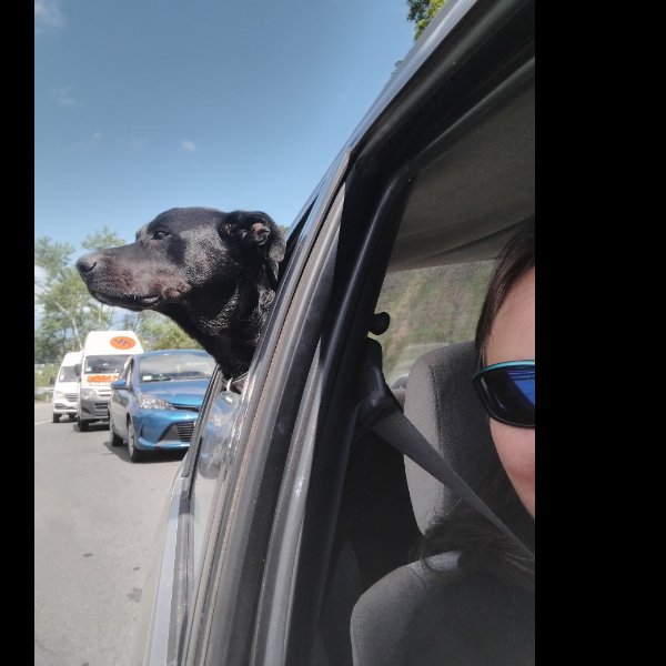 Car rides are the best!