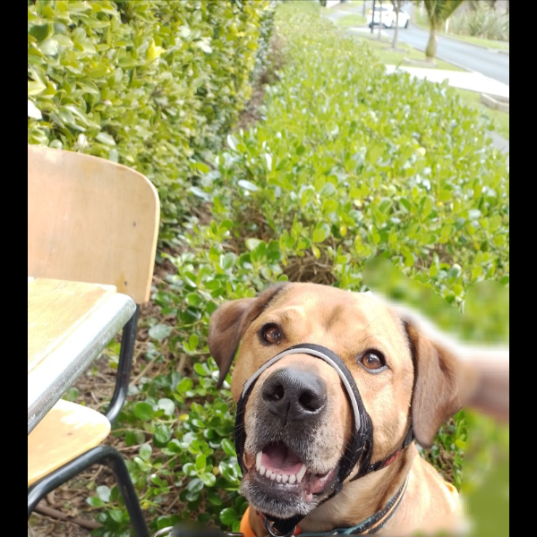A well deserved break during one of our longer walks!