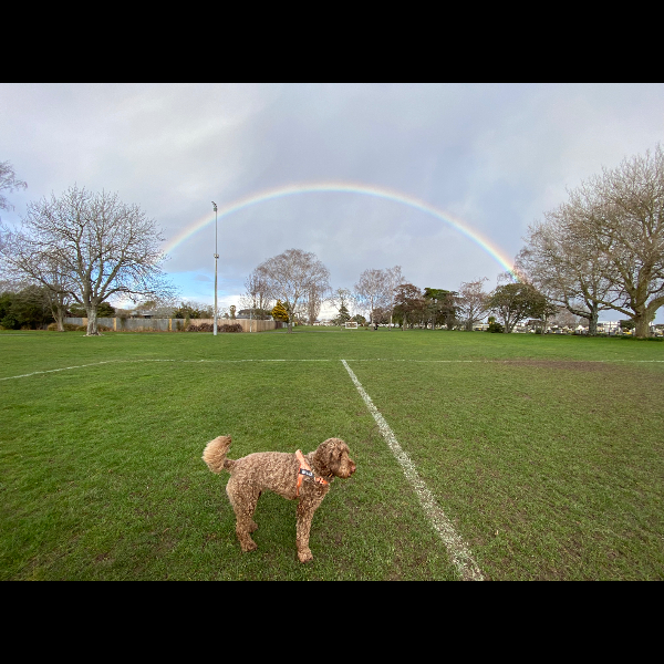 Rainbow before the Southerly came in.