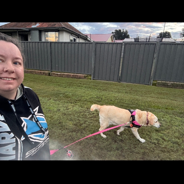 Early morning walkies with Rosie